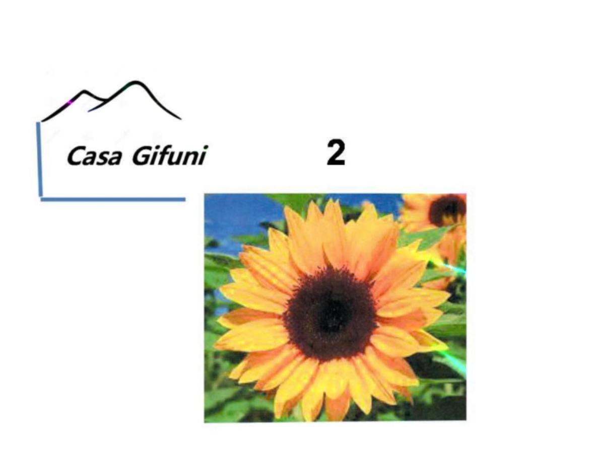 Affittacamere Casa Gifuni *